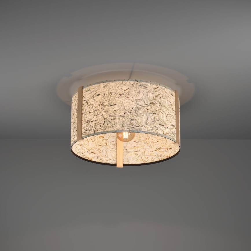 Eglo - Plafondlamp 1xE27/25W/230V beige