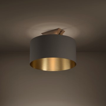 Eglo - Plafondlamp 1xE27/40W/230V bruin/goud
