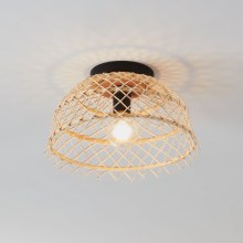 Eglo - Plafondlamp 1xE27/40W/230V