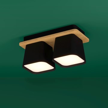 Eglo - Plafondlamp 2xE27/40W/230V zwart/bruin