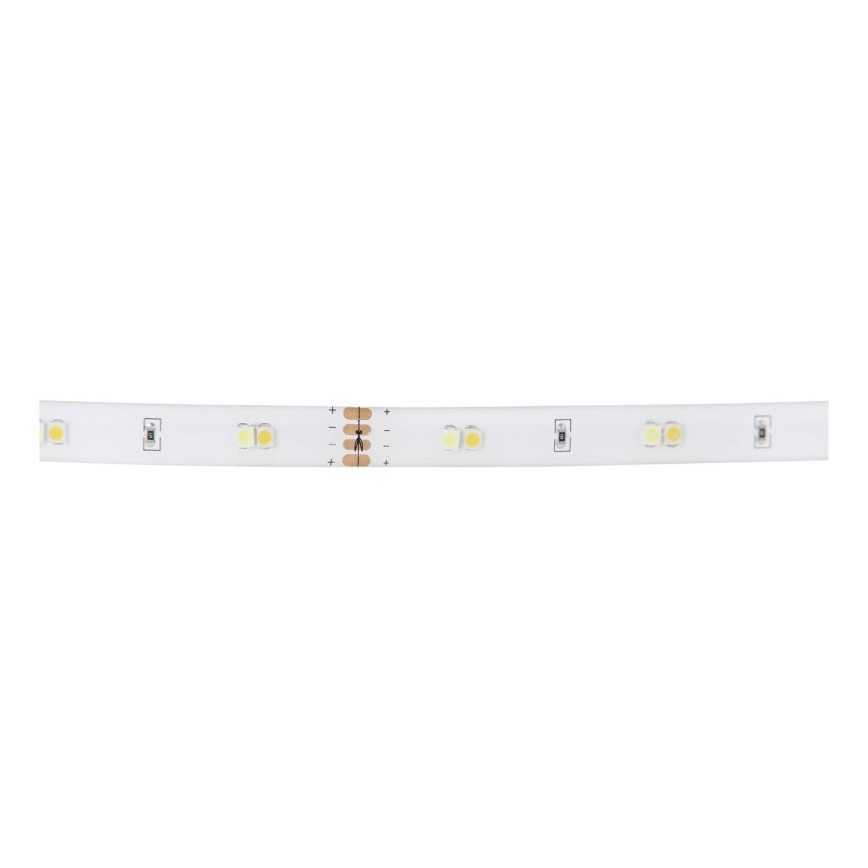 Wirwar Mondwater Kwalificatie Eglo 97029 - SET 2x LED Strip met bewegingssensor PIDIO 2xLED/36x0,1W/230V  | Lampenmanie