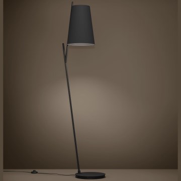 Eglo - Staande Lamp 1xE27/40W/230V zwart