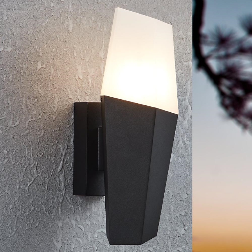 Eglo - Wandlamp voor buiten 1xE27/25W/230V IP44