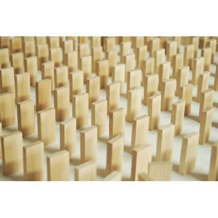 EkoToys - Houten dominostenen 830 st. beuken