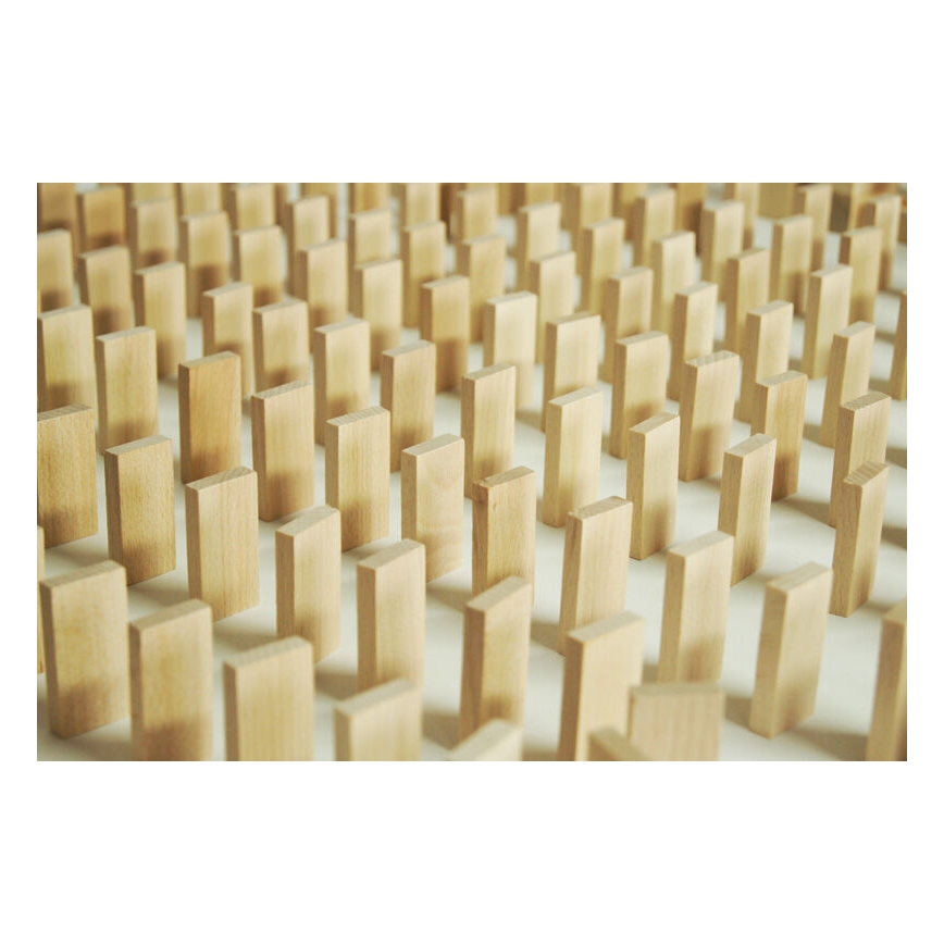 EkoToys - Houten dominostenen 830 st. beuken