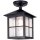 Elstead BL18A-BLACK - Hanglamp  voor buiten voor Oppervlak Montage WINCHESTER 1xE27/100W/230V IP43