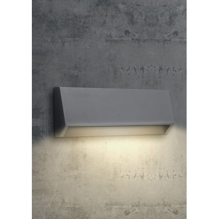 EMITHOR 48330 - LED Wandlamp voor buiten RADIX LED/2,9W/230V IP65