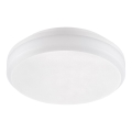 Emithor 63206 - Technische opbouw-LED plafondarmatuur 20W/230V IP65