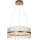 Endon 107671 - Dimbare LED hanglamp aan een koord ADRIEL LED/41W/230V 3000K diameter 51 cm goud/doorzichtig