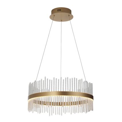 Endon 107671 - Dimbare LED hanglamp aan een koord ADRIEL LED/41W/230V 3000K diameter 51 cm goud/doorzichtig