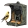 Evolveo - StrongVision BirdFeeder - slimme vogelvoederstation met camera