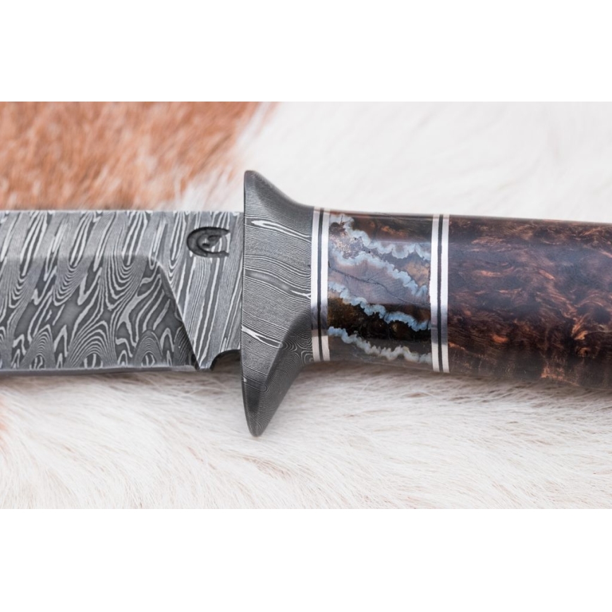Exclusief Damascus-mes 14,6 cm Berk/mammoet tand