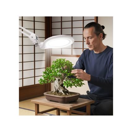 Extol - dimbare LED-bureaulamp met loep LED/10W/230V wit
