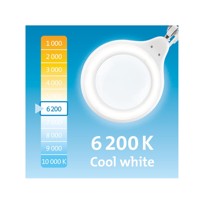Extol - dimbare LED-bureaulamp met loep LED/10W/230V wit