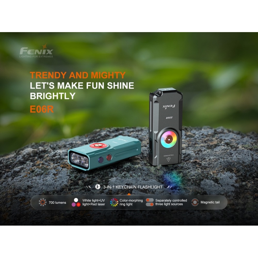 Fenix E06RGRY - LED Dimbaar oplaadbaar zaklamp UV LED/USB IP66 700 glanzend 60 h grijs