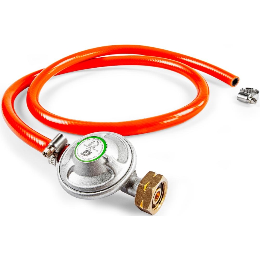 Fieldmann - Gasbarbecue met 5 branders, matte chromen afwerking