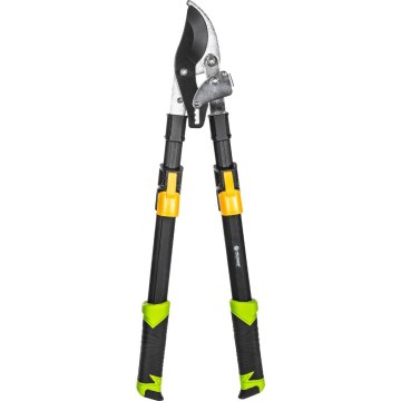 Fieldmann - Telescopische hefboom-takkenschaar