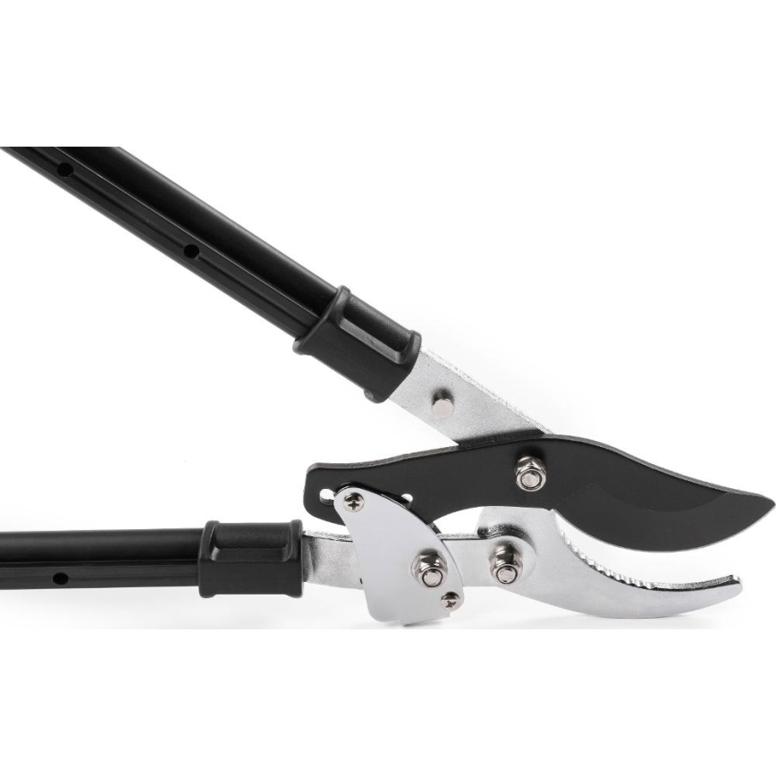 Fieldmann - Telescopische hefboom-takkenschaar