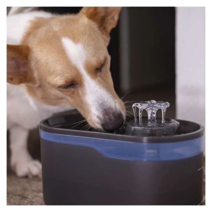 Filters voor waterfonteinen PET-902 4 stuks