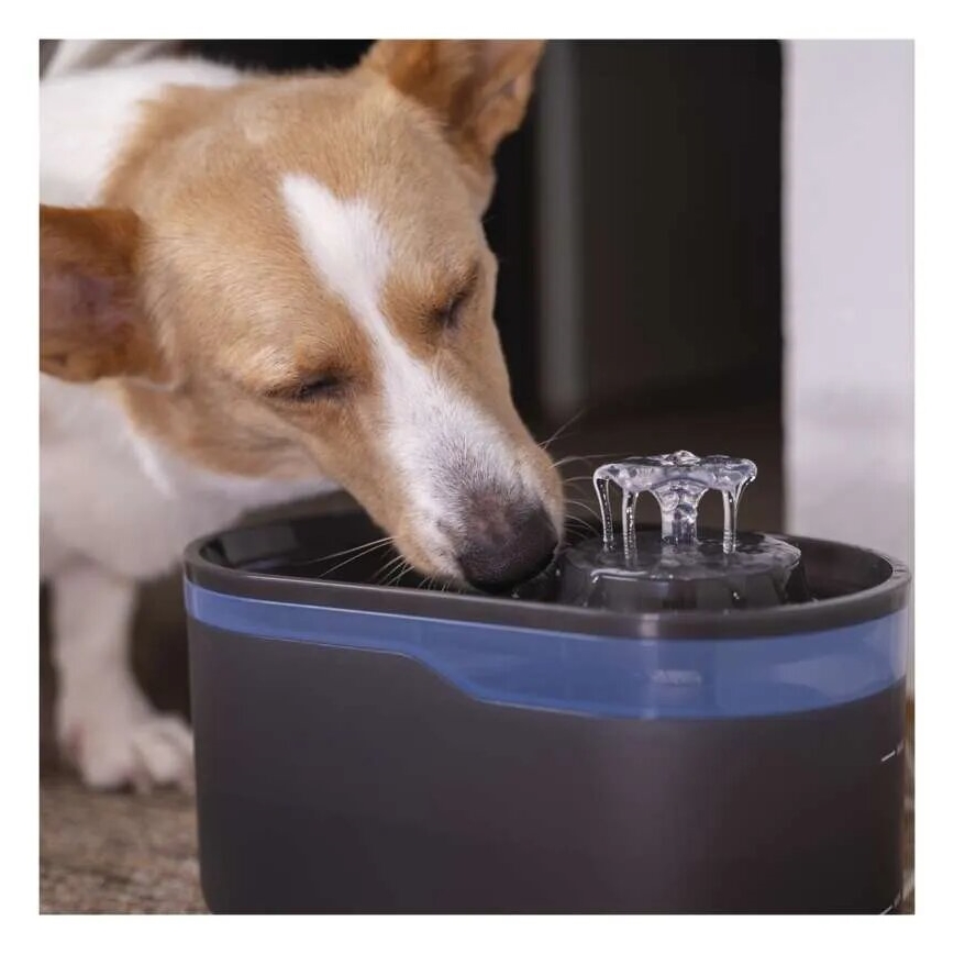 Filters voor waterfonteinen PET-902 4 stuks