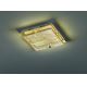 Fischer & Honsel 20539 - LED Plafondlamp ELAY 4xLED/4,5W/230V