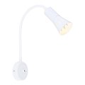 Flexibele lamp ARENA 1xE14/40W/230V wit