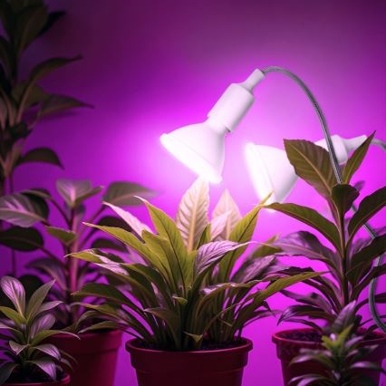 Flexibele bureaulamp met clip voor plantengroei PLANTY 2xE27/30W/230V wit