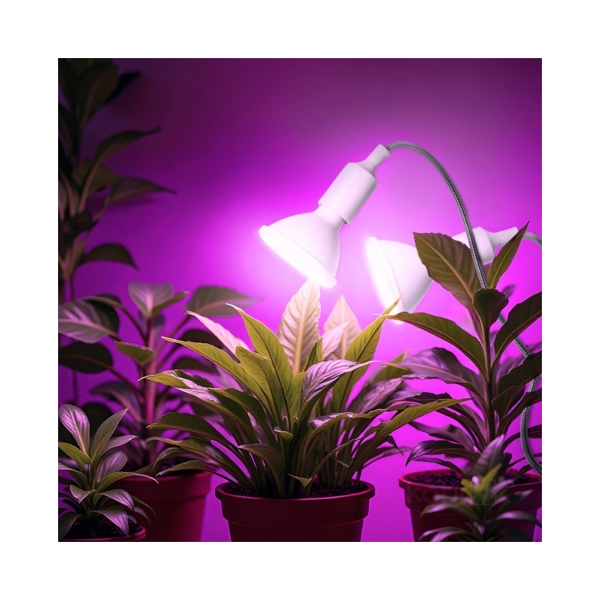 Flexibele bureaulamp met clip voor plantengroei PLANTY 2xE27/30W/230V wit
