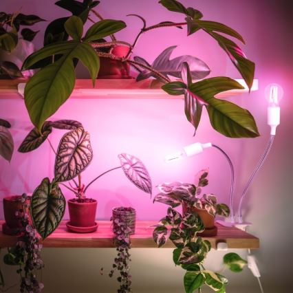 Flexibele bureaulamp met clip voor plantengroei PLANTY 2xE27/30W/230V wit