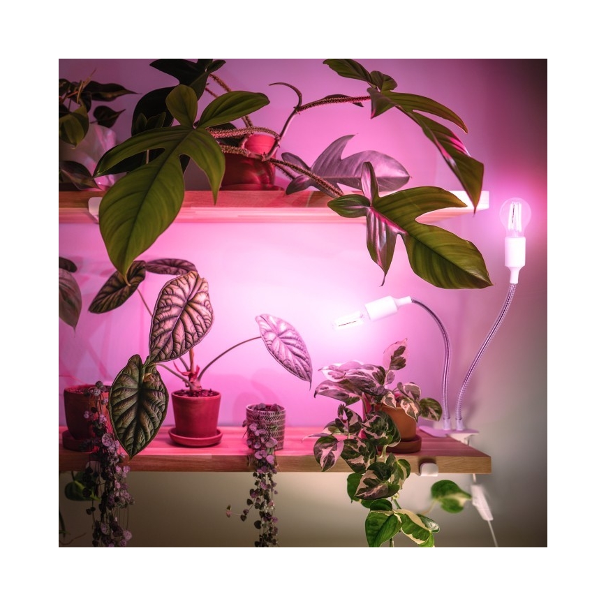 Flexibele bureaulamp met clip voor plantengroei PLANTY 2xE27/30W/230V wit