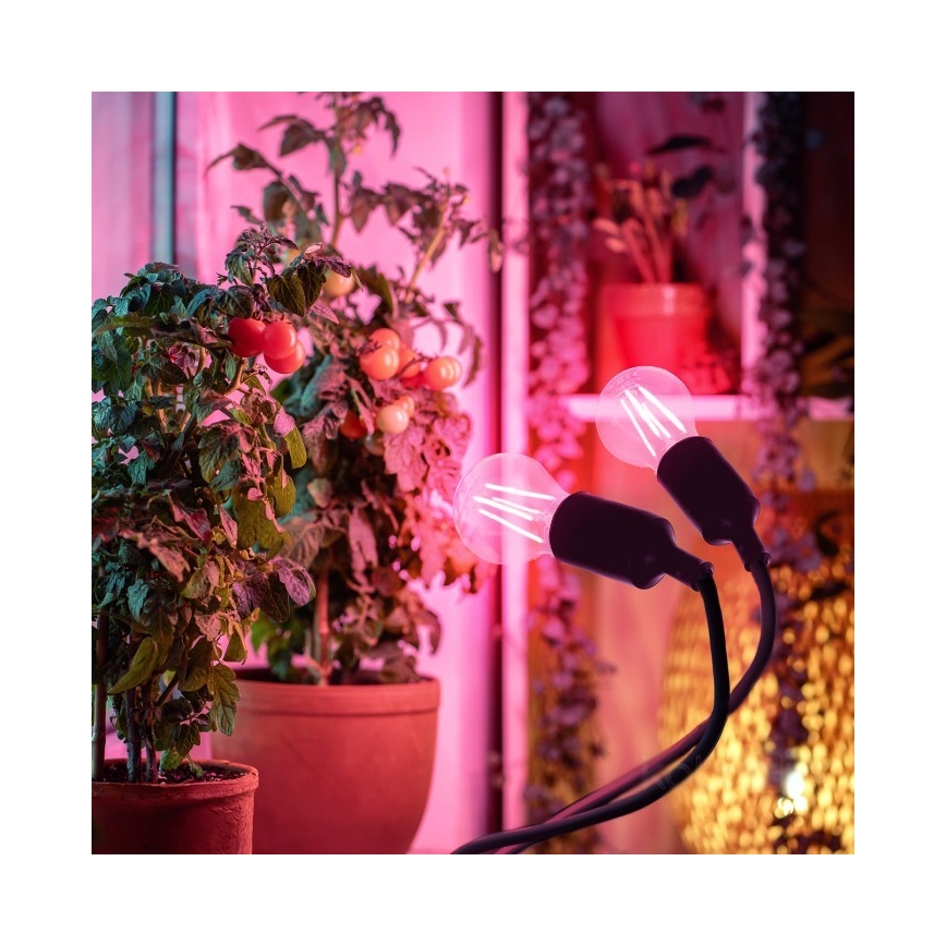Flexibele bureaulamp met clip voor plantengroei PLANTY 2xE27/30W/230V zwart