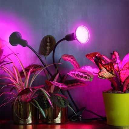 Flexibele bureaulamp met clip voor plantengroei PLANTY 2xE27/30W/230V zwart