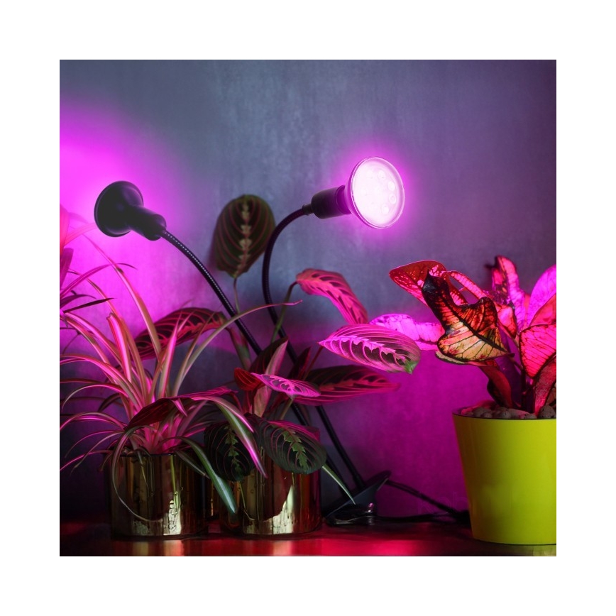 Flexibele bureaulamp met clip voor plantengroei PLANTY 2xE27/30W/230V zwart