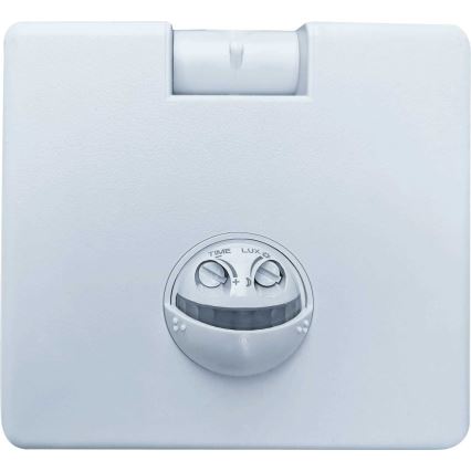 Flip - LED Buitenschijnwerper met sensor LED/10W/230V IP65