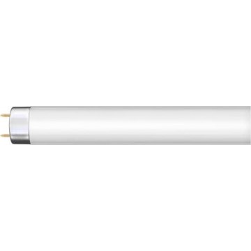 Fluorescentiebuis G13/36W/230V 120 cm - Narva 108132000