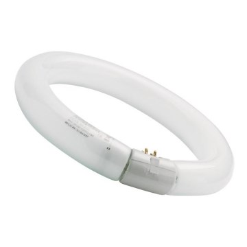 Fluorescentielamp CIRCLINE T9 G10q/32W/230V 4000K Ø 29,9 cm - Sylvania