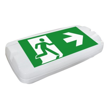 Fulgur 26200 - LED Noodverlichtingsarmatuur SAFEBOY LED/5,5W/230V 400 mAh IP65 6500K