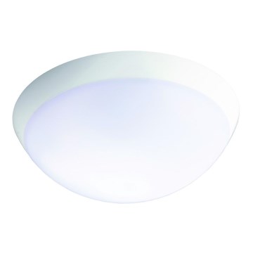 Fulgur 26233 - LED Zware noodverlichting met sensor ROMANA LED/20W/230V 2200 mAh IP64