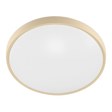Fulgur 27480 - Frame met diffuser voor plafondlamp VERA 420 GOLD