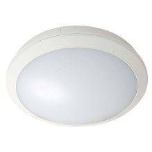Fulgur 28844 - LED Plafond Lamp voor Buiten ZUZA LED/18W/230V IP66