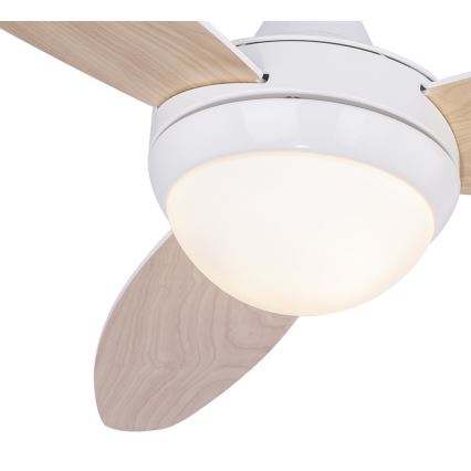 Globo 03612 - Plafondventilator CORDULA 2xE14/40W/230V + afstandsbediening