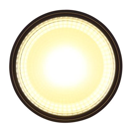 Globo - LED Plafondlamp LED/12W/230V 3000K