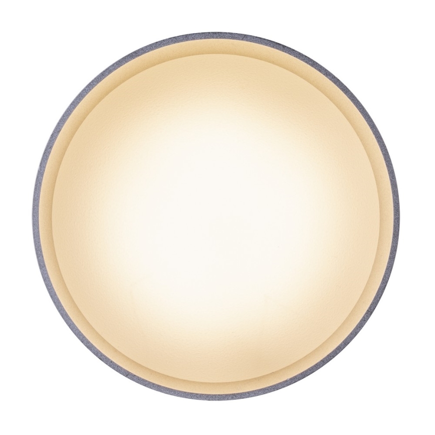 Globo - LED Plafondlamp LED/8W/230V + LED/4W/230V