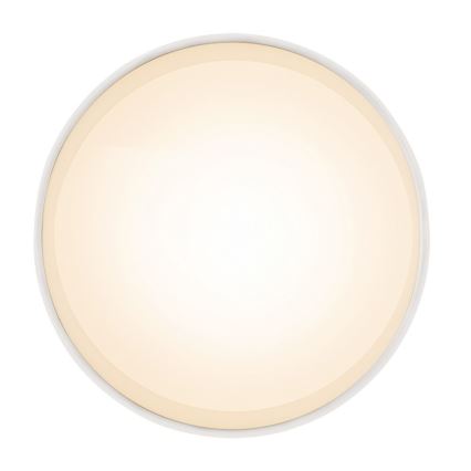 Globo 12015W - LED Plafondverlichting JENNY LED/8W/230V
