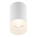 Globo 12017W - Plafondverlichting JENNY 1x GU10 / 35W / 230V
