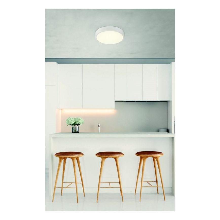 Globo - LED Badkamer plafondlamp dimbaar LED/22W/230V IP44