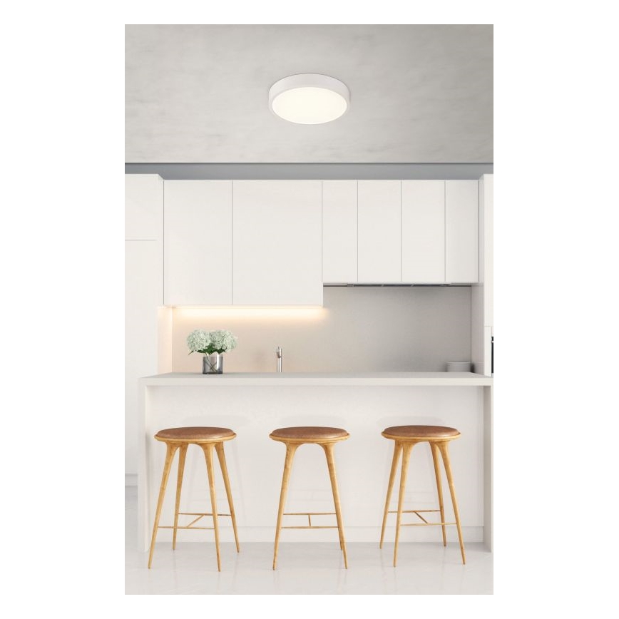 Globo - LED Badkamer plafondlamp dimbaar LED/22W/230V IP44