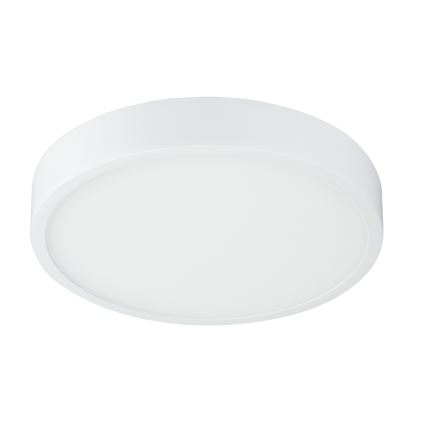 Globo - LED Badkamer plafondlamp dimbaar LED/22W/230V IP44