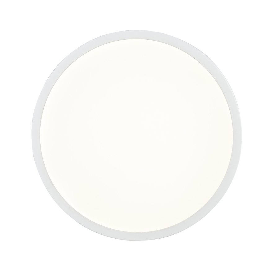 Globo - LED Badkamer plafondlamp dimbaar LED/22W/230V IP44