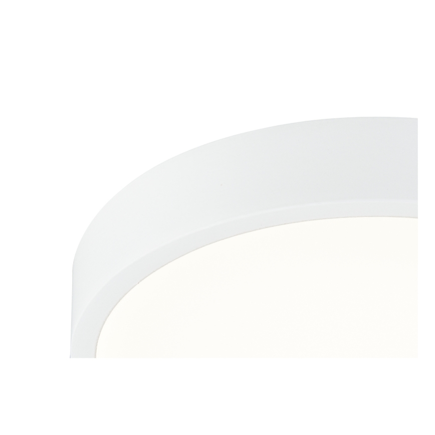Globo - LED Badkamer plafondlamp dimbaar LED/22W/230V IP44